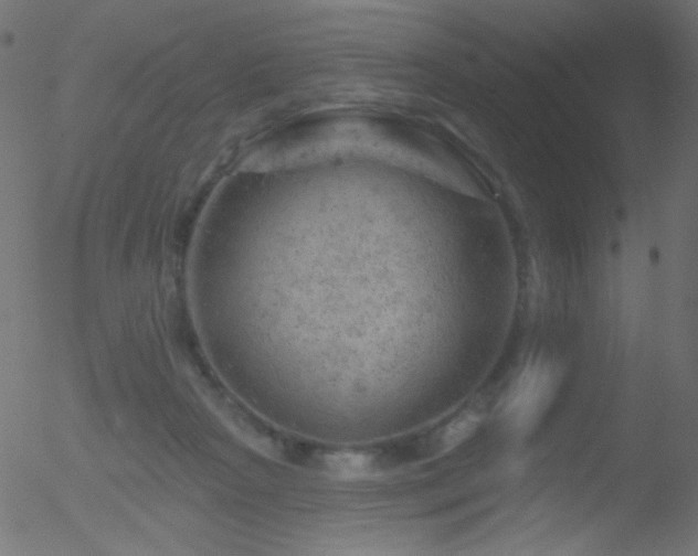 X0000052570265200507011228