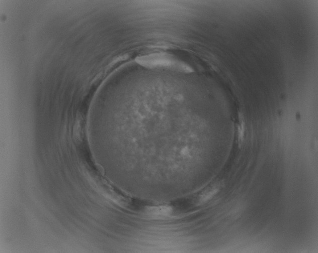 X0000052570266200507011228