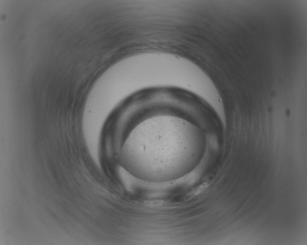 X0000052570268200507011228