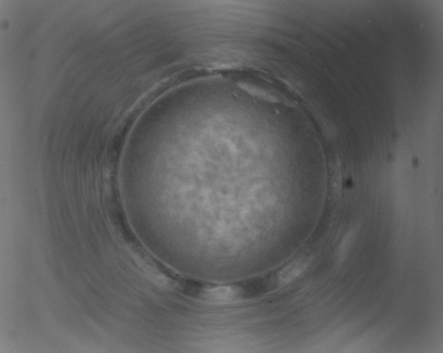 X0000052570269200507011228