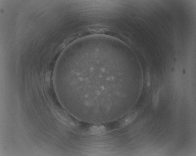 X0000052570271200507011228