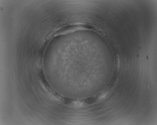 X0000052570272200507011228