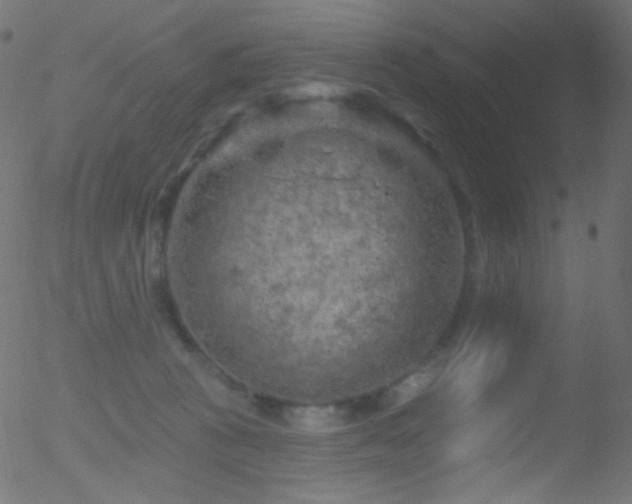 X0000052570273200507011228