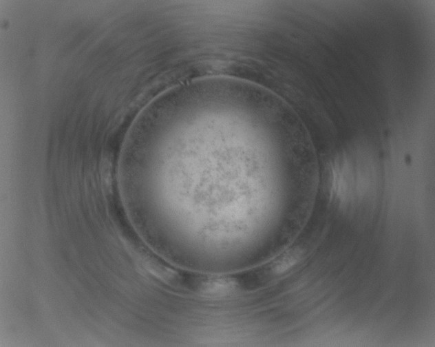 X0000052570274200507011228