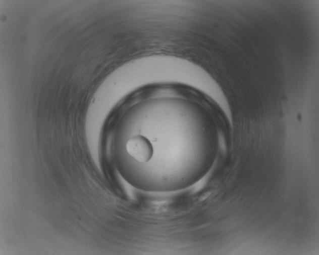 X0000052570276200507011228