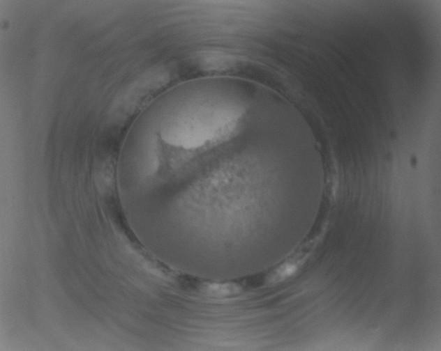 X0000052570277200507011228