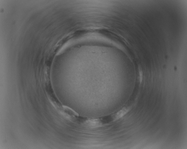 X0000052570280200507011228