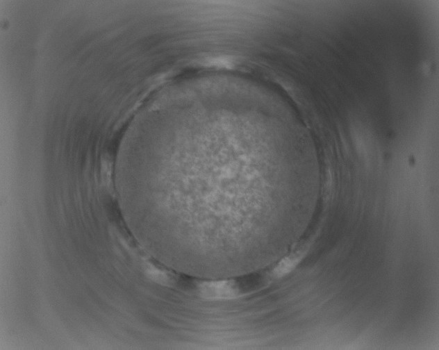 X0000052570281200507011228