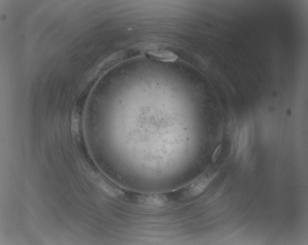 X0000052570282200507011228