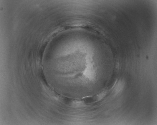 X0000052570283200507011228