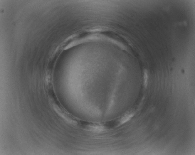 X0000052570284200507011228