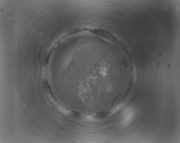 X0000052570285200507011228