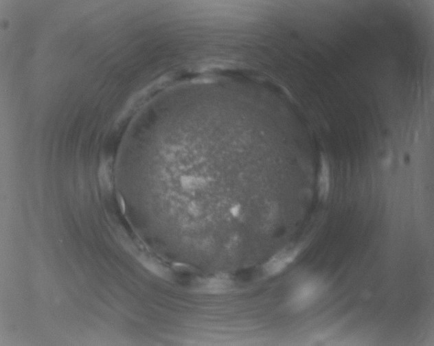 X0000052570286200507011228