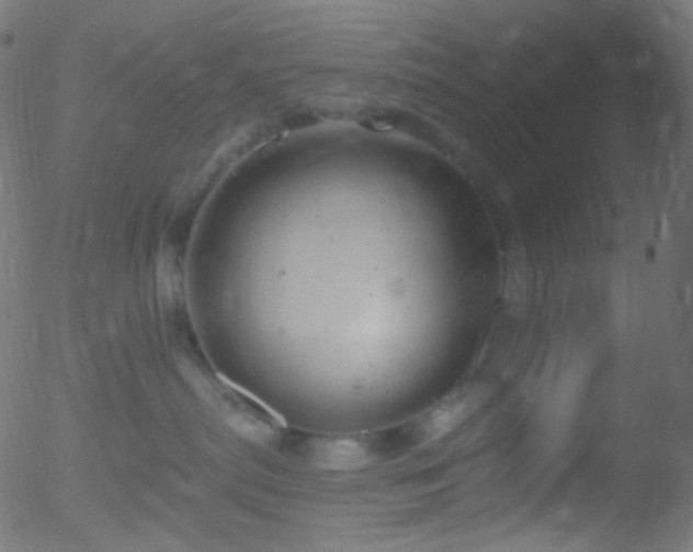 X0000052570287200507011228