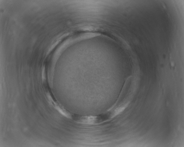 X0000052570288200507011228