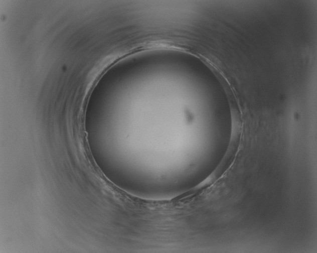 X0000052570289200507011228