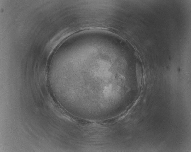 X0000052570290200507011228