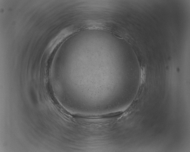 X0000052570291200507011228