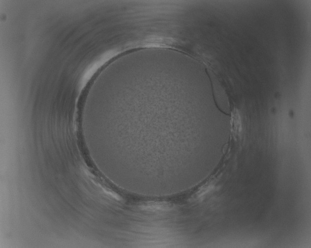 X0000052570292200507011228