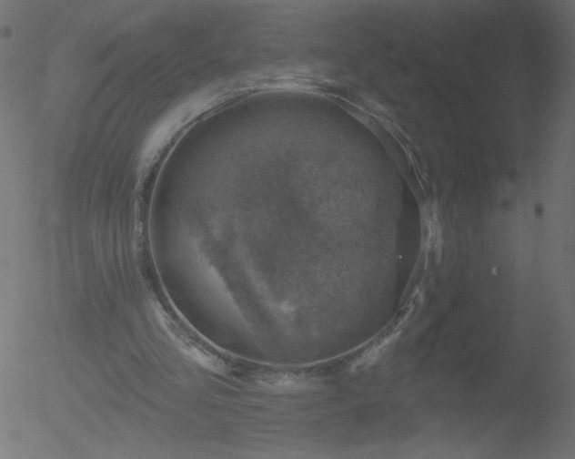 X0000052570293200507011228