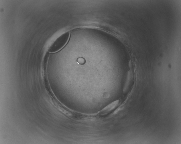 X0000052570294200507011228