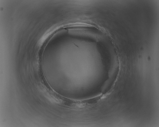 X0000052570295200507011228