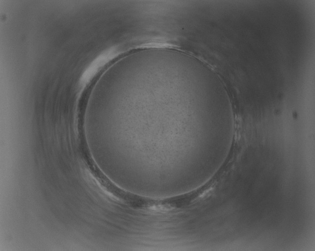 X0000052570296200507011228