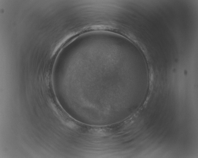 X0000052570297200507011228