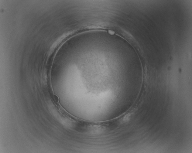 X0000052570298200507011227