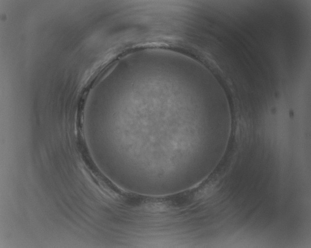 X0000052570299200507011227