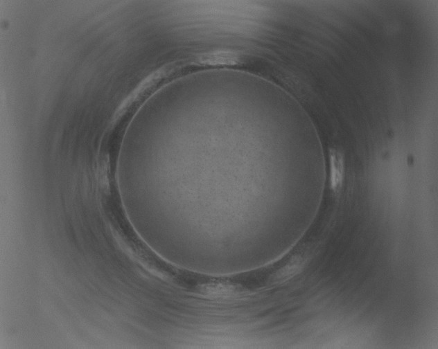 X0000052570300200507011227