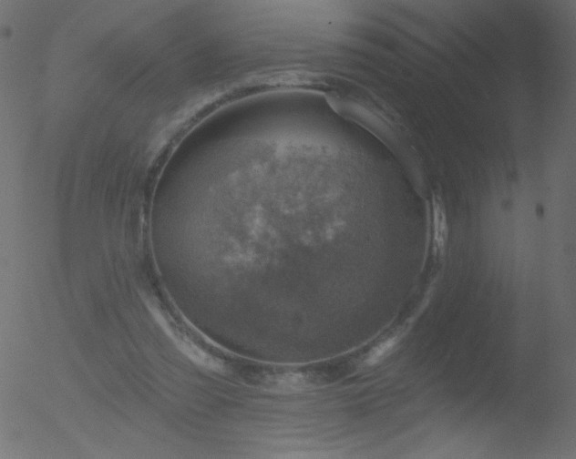 X0000052570301200507011227