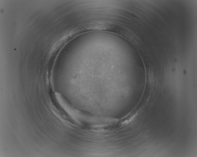 X0000052570302200507011227