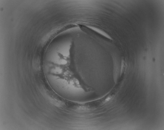 X0000052570303200507011227