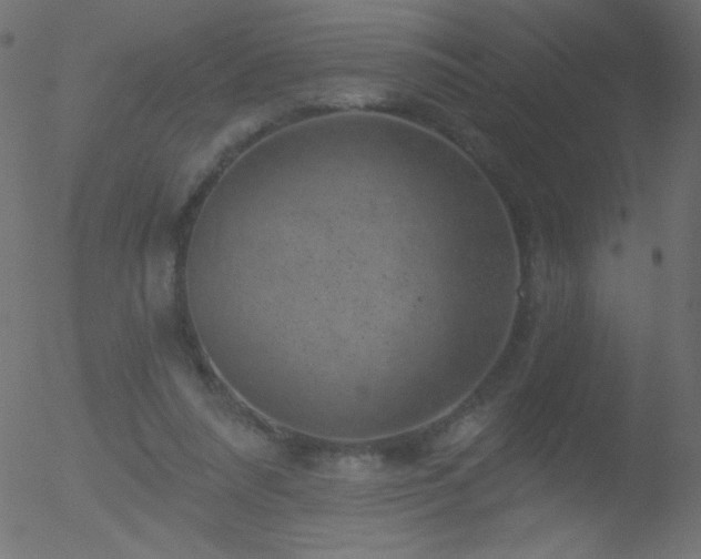 X0000052570304200507011227