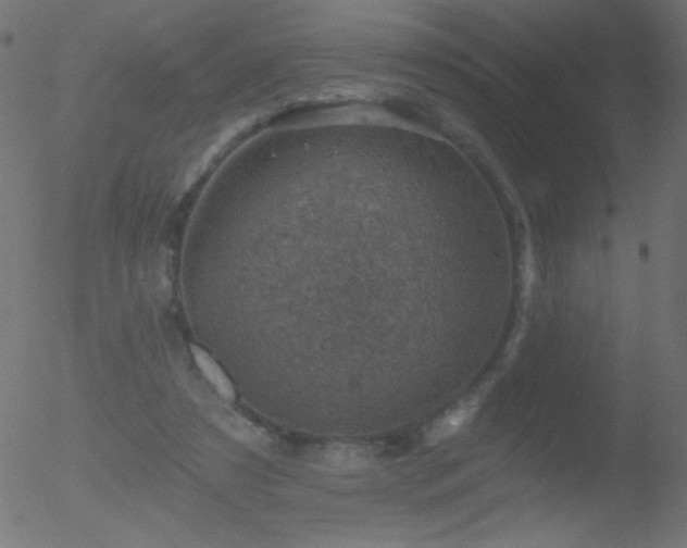 X0000052570305200507011227