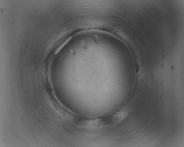 X0000052570306200507011227