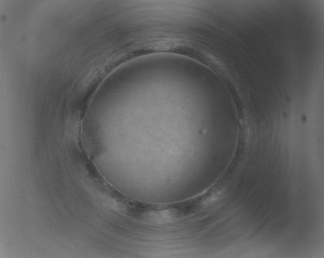 X0000052570307200507011227