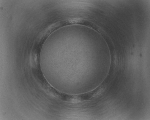 X0000052570308200507011227