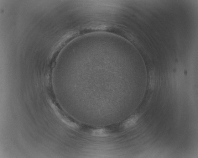 X0000052570309200507011227