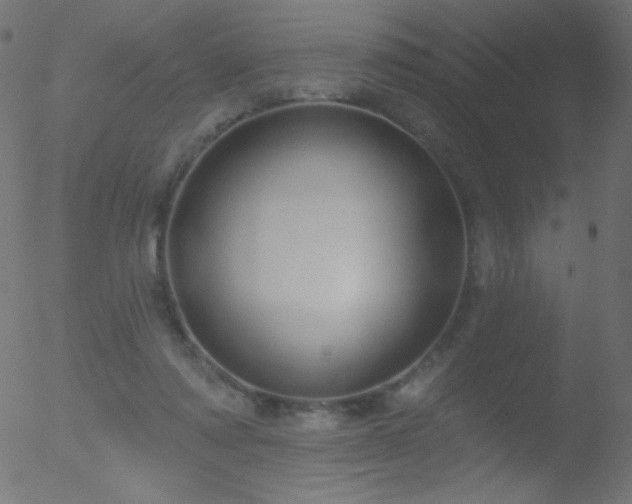 X0000052570310200507011227