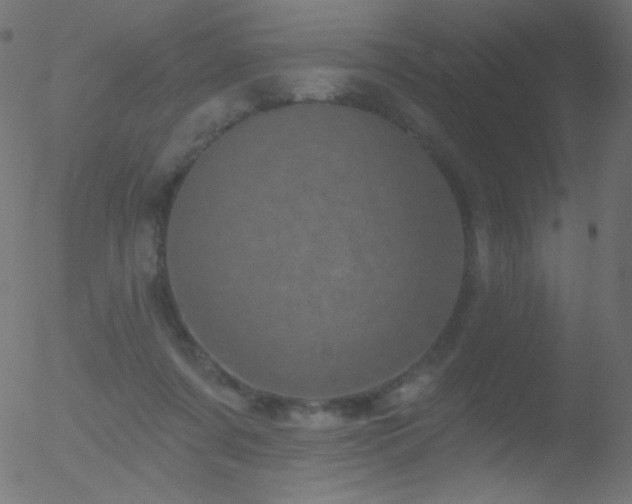 X0000052570311200507011227