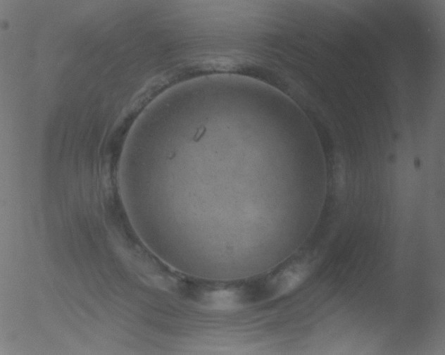 X0000052570312200507011227