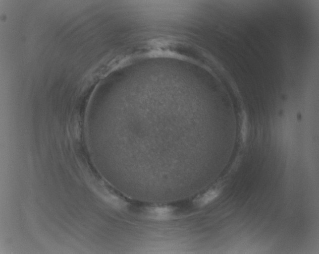 X0000052570313200507011227