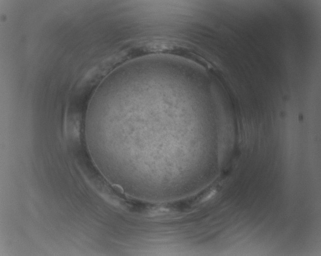 X0000052570315200507011227