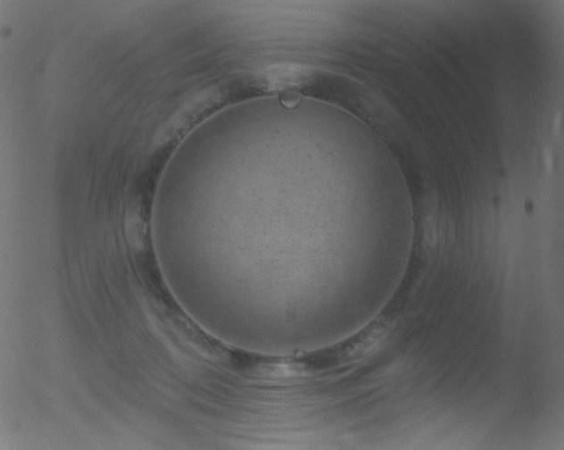 X0000052570316200507011227