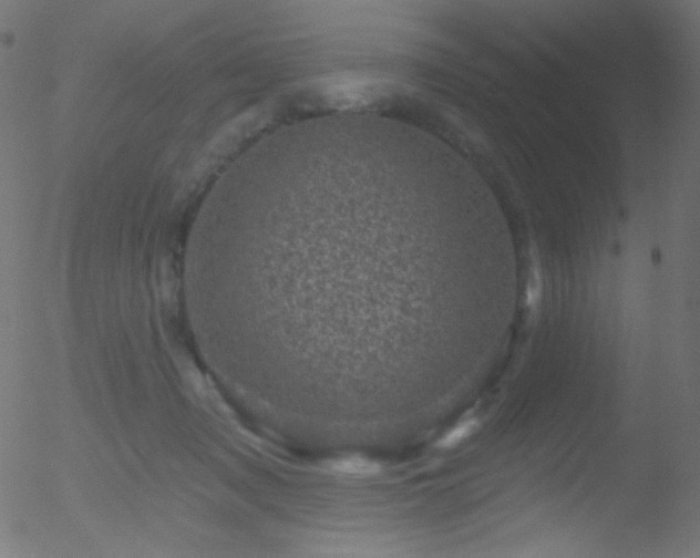 X0000052570317200507011227