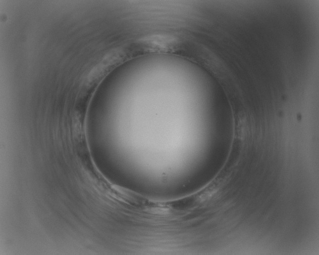 X0000052570318200507011227