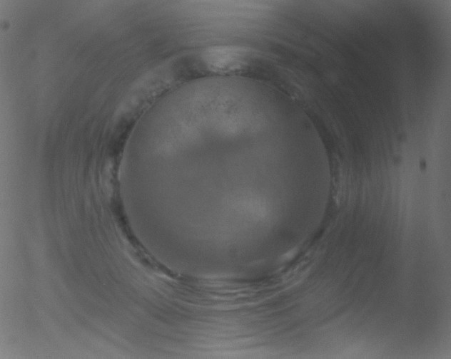 X0000052570319200507011227