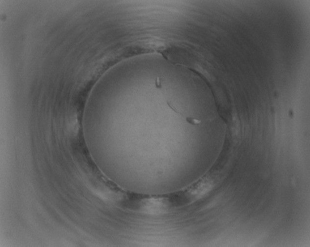 X0000052570320200507011227